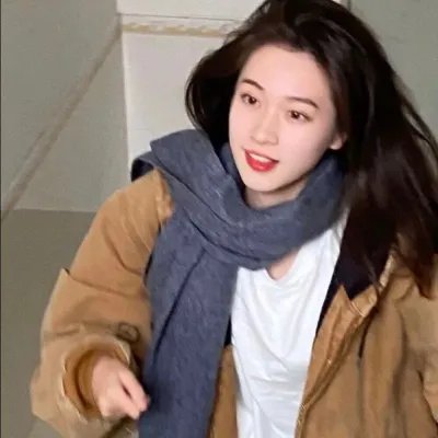 成凰录
